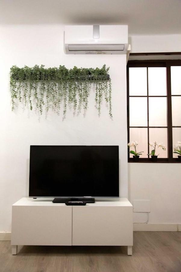 Apartment Holidays2malaga Lagunillas 3 Bedrooms Downtown Local Area 500mb Free Wifi